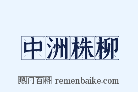 中洲株柳是什么意思的图片